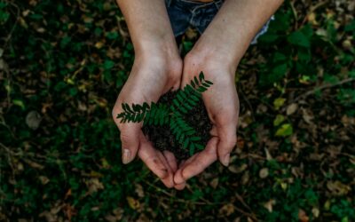 Quel avenir pour la Loi « Climat et résilience » de 2021 ?
