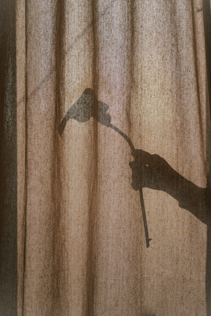 Shadow of a hand holding a flower.