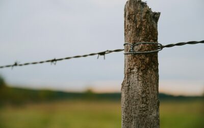 La pose de clôture sur un terrain privé à l’épreuve du droit de l’environnement : Quand le droit protège la circulation de la faune.