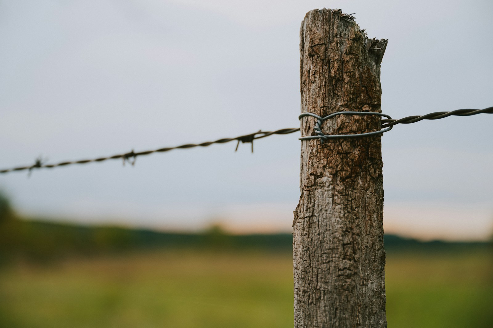 a close up of a barbed wire fence