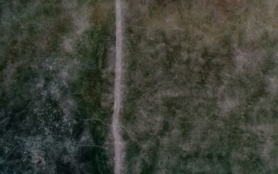 Le pouvoir d’instruction du juge administratif limité aux éléments transmis par les parties : La fin du pouvoir d’instruction ?